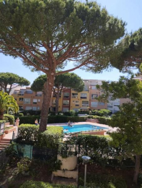 Studio 4 couchages avec piscine d'été vue port